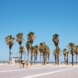 primavera
